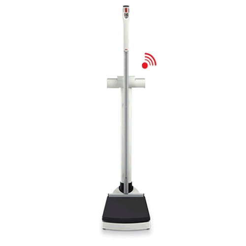 Seca 704S Column Scale with Integrated Measuring Rod