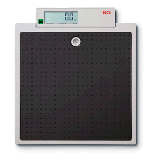 Seca 875 Flat Scales for Mobile Use